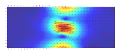 Draft Avila 364400906-image2.png