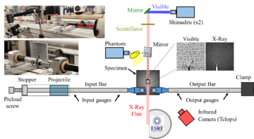 Draft Rodriguez Sereno 917229938-image4.png