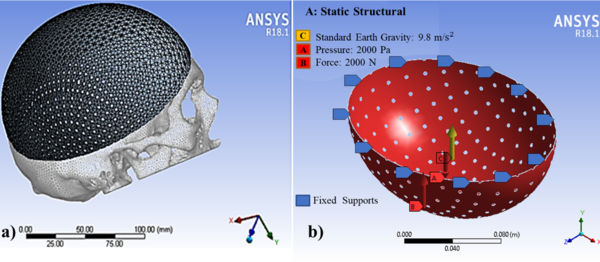 Review 995707923686-image4-c.png