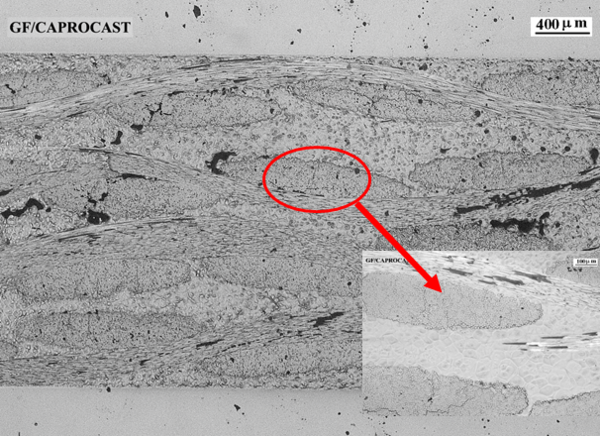 Draft Porcar 535034373-image14.png