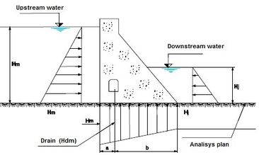 Draft ARAUJO 147425830-image1-c.jpeg