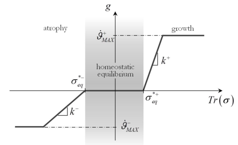 Growth function g\left(Tr\left(σ\right)\right) due to mechanical stimulus  proposed by Bellomo et al. [184]. Reproduced and adapted with permission.  The definition of each term is available in the notation list.