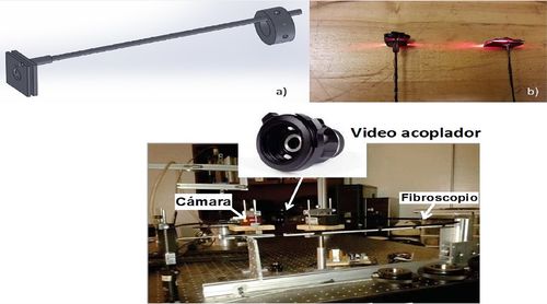 Draft Gonzalez-Barbosa 236306777 1609 fig2 comp.jpg