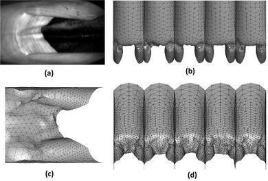 Draft García-Espinosa 882755931-image13.jpeg