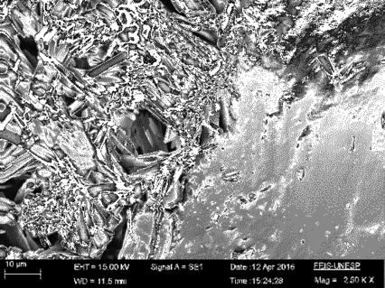 Urzulin et al 2018a-image13.png