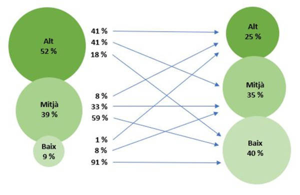 Draft Alegre 580370486-image3.png