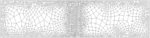 Mesh 2: 2679 4-noded elements.
