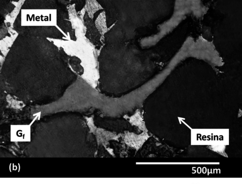 Maiorano Molina 2018a-image12-c.png