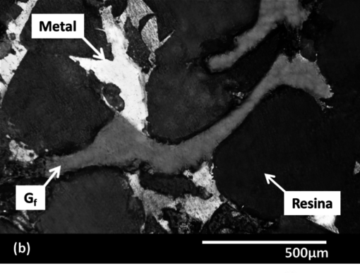 Maiorano Molina 2018a-image12-c.png