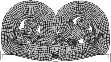 Forma final crimpada da simulação 1.