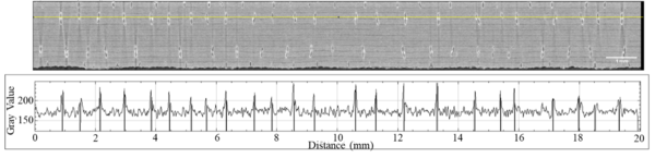 Draft Salgado 660896723-image7-c.png