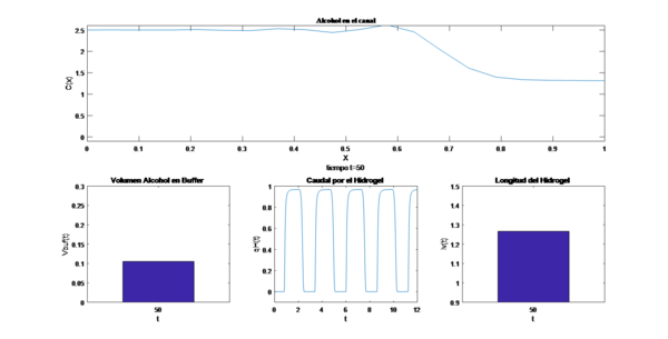 Draft Alvarez 308216271-image5.png