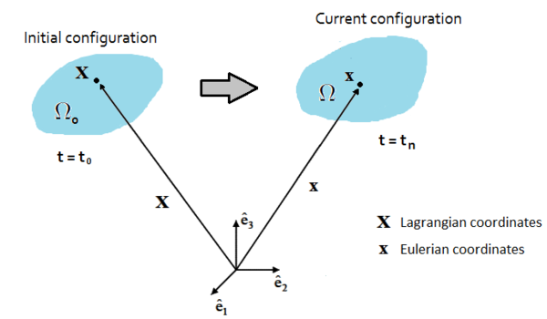 Description of the motion of a general continuum body