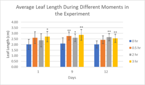 Review 855074334749-image17-c.png