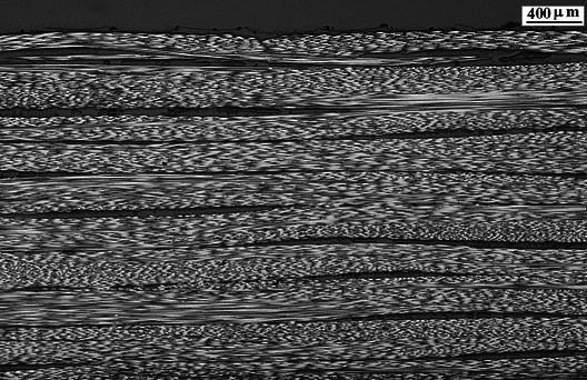 Gayoso et al 2019a-image14.png