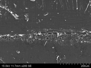 Draft CAMPO GOMEZ 288325231-image6.jpeg