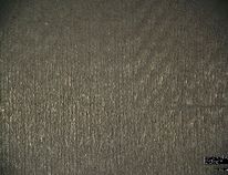 Review 895193022210-image20.jpeg