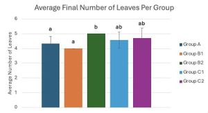 Draft Melika 433147401-image16-c.jpg