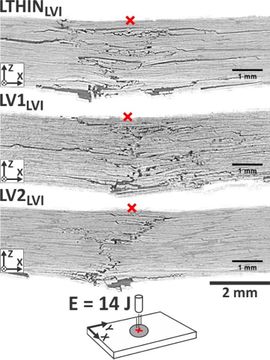 Draft Compuestos 638005698-image11.jpeg