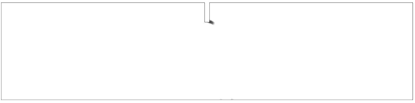 Local model. Initial stage.