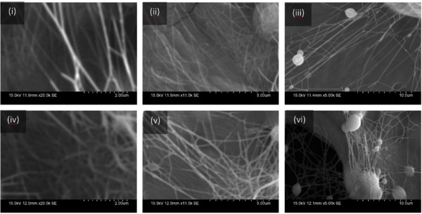 Draft Arribas Yuste 290017702-image2.png
