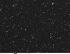 Muriel et al 2018a-image8.png