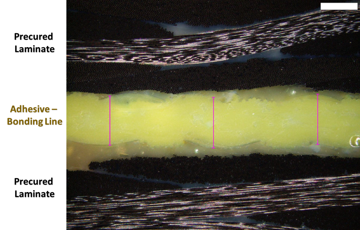 Adhesive Film Carriers Effect on Adhesive Function - Capilla C.Saleiro ...