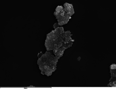 Muriel et al 2018a-image10.png