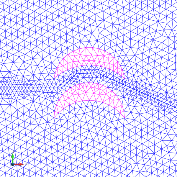 Mesh at advanced stage.