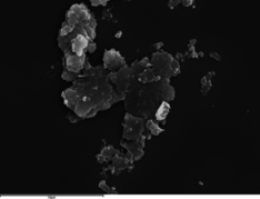 Muriel et al 2018a-image11.png