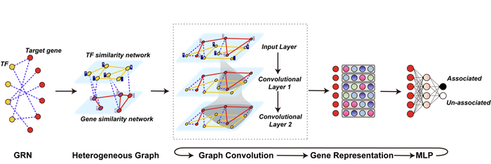 Draft Qu 612822743-image1.png