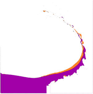 Collapse of a water column over a rigid step. Superposition of the 2D results obtained at t=0.3s with the mesh with average size 0.002m for the slip (orange colour) and the stick (pink) conditions.