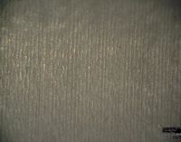 Review 895193022210-image12.jpeg