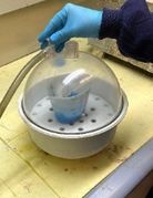 Draft Luna 627311235-image12-c.jpeg