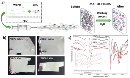 Santamaria-Echart et al 2018a-image7-c.png