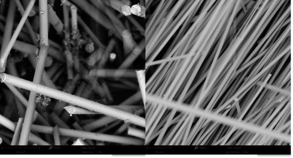 Draft Luengo 130871019-image2.png