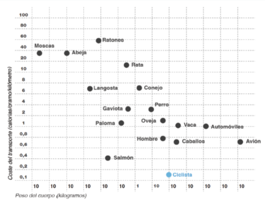 Review Calafí Guasch 2018a-image7.png