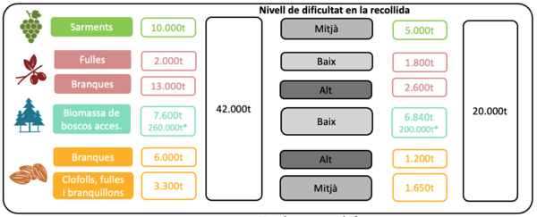 Draft Kuchinow 517985359-image5-c.png