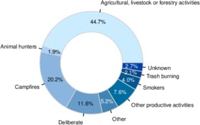 Mexico State wildfire causes (2010-2018).