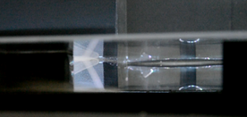 Draft Flores-Herrera 662712112-image38.png