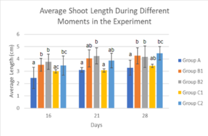 Review 855074334749-image15.png