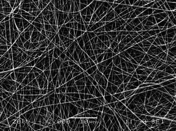 Gayoso et al 2019a-image7.png