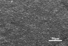 Draft Wang 506805600-image16.jpeg