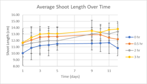 Draft Melika 433147401-image3-c.png