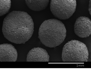 Maiorano Molina 2021a-image6.png