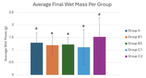 Review 855074334749-image19-c.png