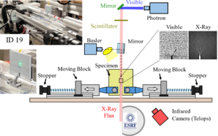 Draft Rodriguez Sereno 917229938-image2.png