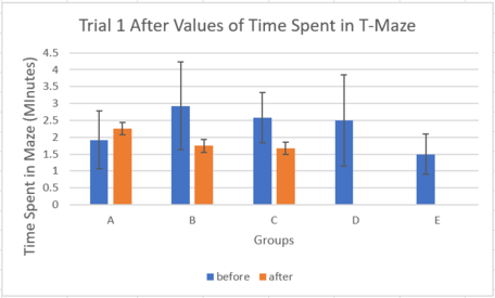 Draft Lin 338454679-image4-c.png