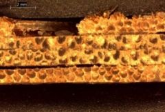 Pozo et al 2018a-image16.jpeg