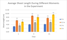 Draft Melika 433147401-image2-c.png